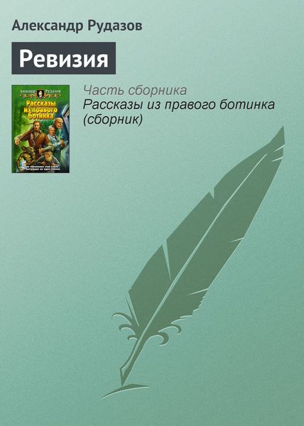 Обложка книги  «Ревизия»