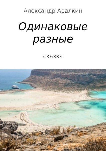 Обложка книги  «Одинаковые разные»