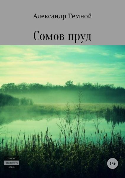 Обложка книги «Сомов пруд»
