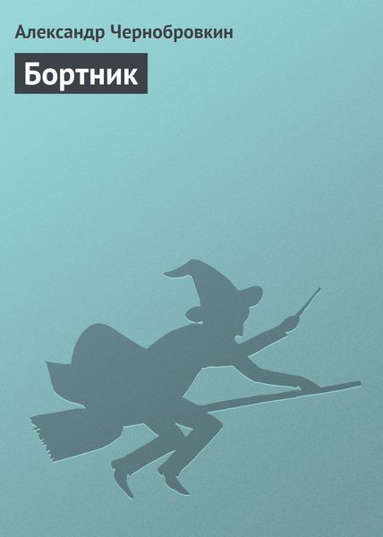 Обложка книги  «Бортник»