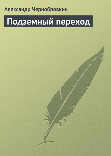 Обложка книги  «Подземный переход»