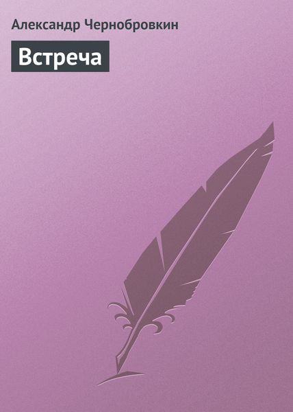Обложка книги  «Встреча»
