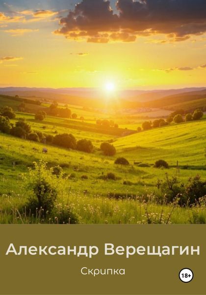 Обложка книги «Скрипка»