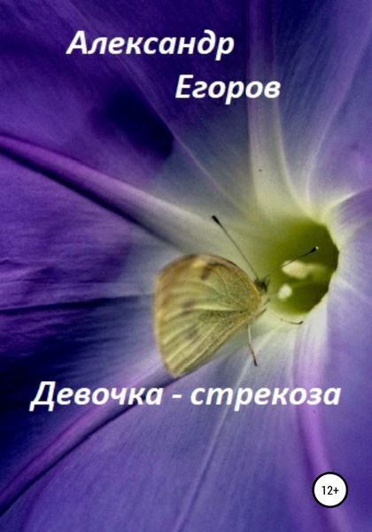 Обложка книги  «Девочка – стрекоза»