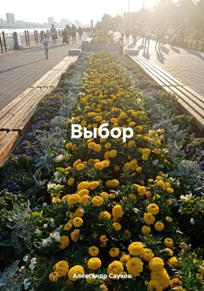 Обложка книги  «Выбор.»