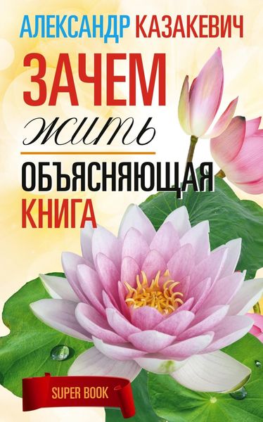 Обложка книги  «Зачем жить. Объясняющая книга»