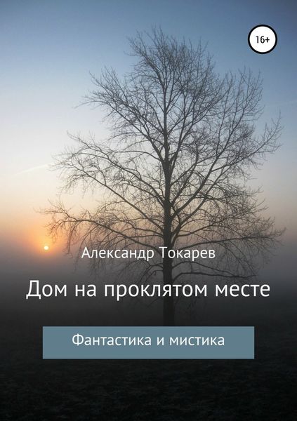Обложка книги «Дом на проклятом месте»