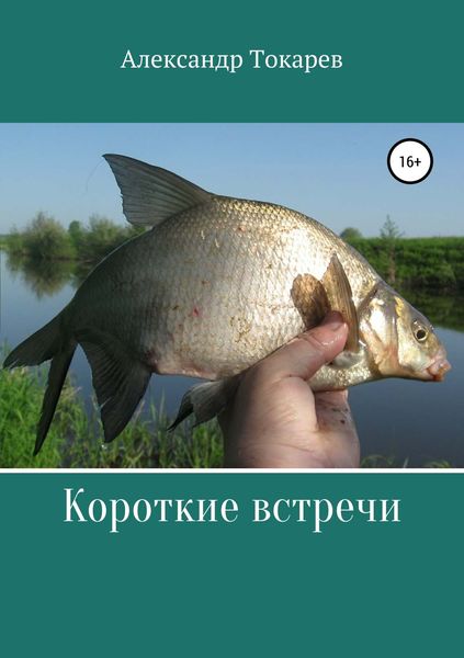 Обложка книги «Короткие встречи»