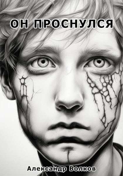 Обложка книги  «Он проснулся»