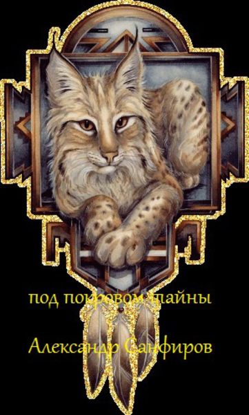Обложка книги «Под покровом тайны»
