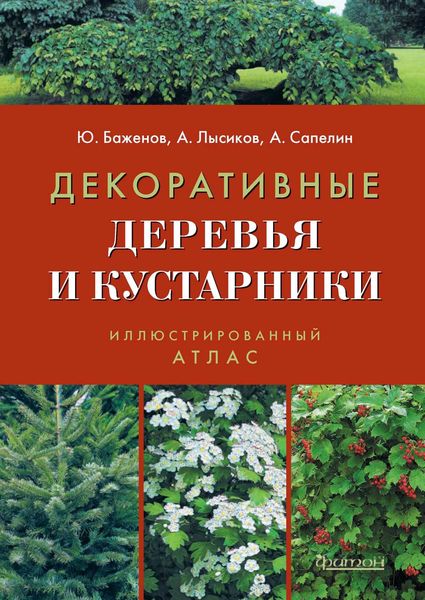 Обложка книги  «Декоративные деревья и кустарники»