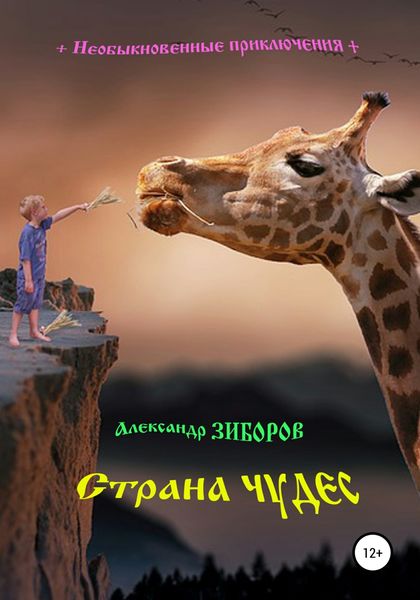 Обложка книги  «Страна чудес»