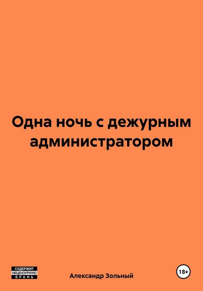 Обложка книги  «Одна ночь с дежурным администратором»