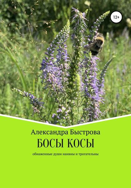 Обложка книги  «БОСЫ КОСЫ. Маленькие эпизоды большого пути»