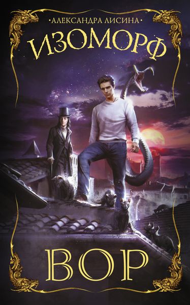 Обложка книги  «Изоморф. Вор»