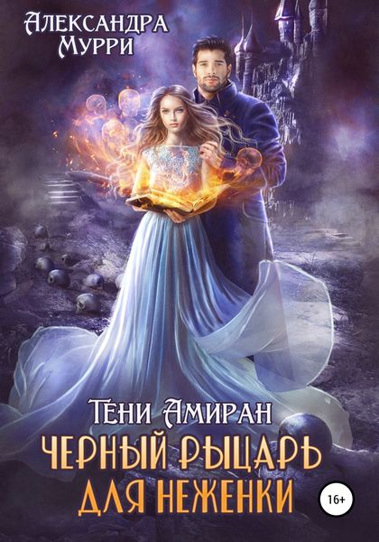 Обложка книги  «Тени Амиран. Черный рыцарь для неженки»
