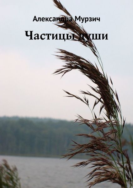 Обложка книги  «Частицы души»