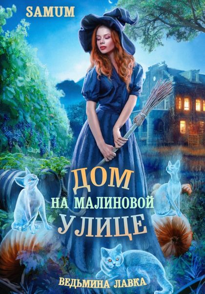 Обложка книги  «Ведьмина лавка. Дом на Малиновой улице»