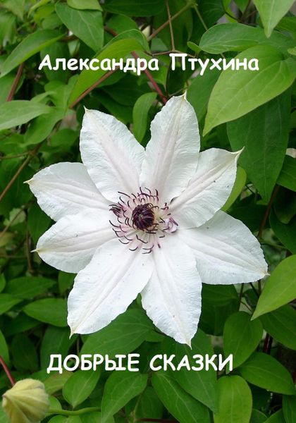 Обложка книги  «Добрые сказки»