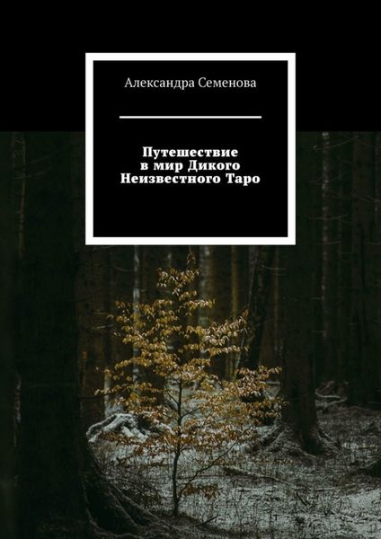 Обложка книги  «Путешествие в мир Дикого Неизвестного Таро»
