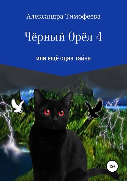 Обложка книги  «Чёрный Орёл 4 или ещё одна тайна»