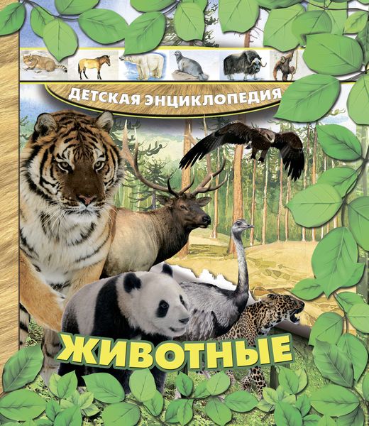 Обложка книги  «Животные»