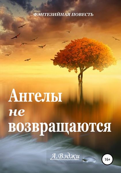 Обложка книги  «Ангелы не возвращаются»