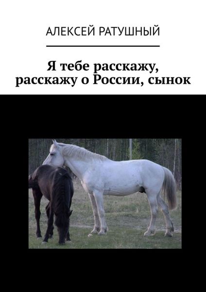 Обложка книги «Я тебе расскажу, расскажу о России, сынок»