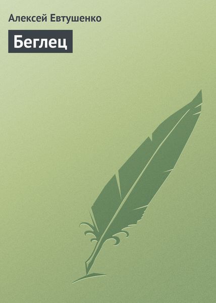 Обложка книги  «Беглец»
