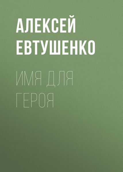 Обложка книги  «Имя для героя»