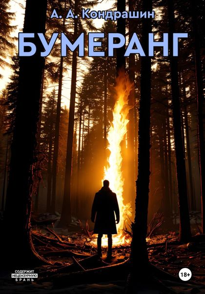 Обложка книги «Бумеранг»
