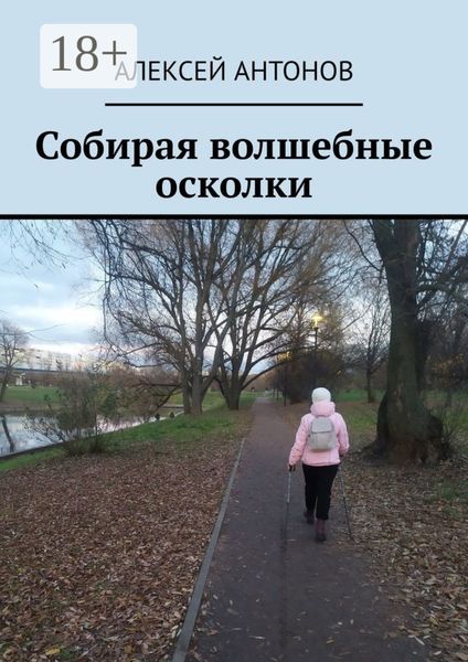 Обложка книги «Собирая волшебные осколки»