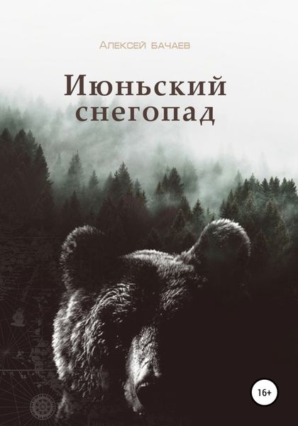 Обложка книги  «Июльский снегопад»