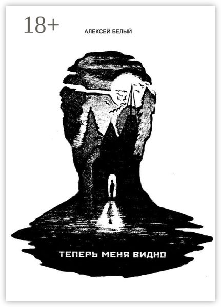 Обложка книги  «Теперь меня видно»