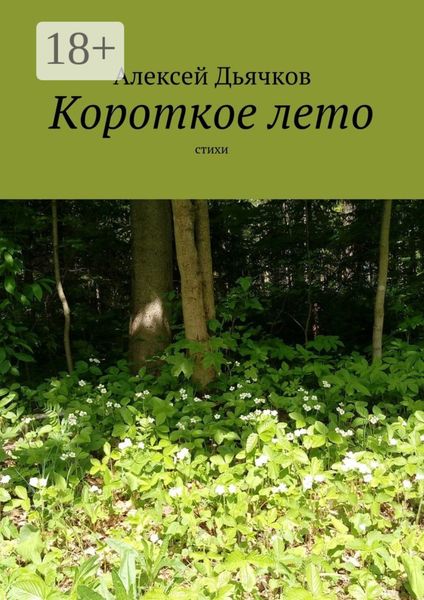 Обложка книги  «Короткое лето. Стихи»