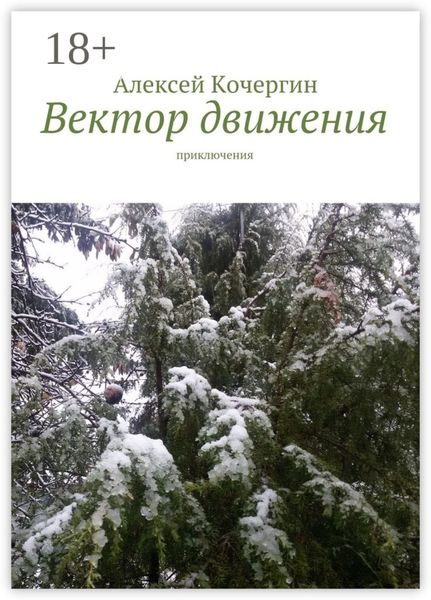 Обложка книги «Вектор движения. Приключения»