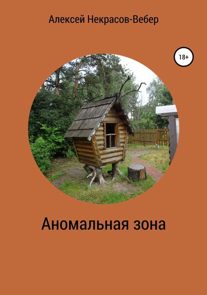 Обложка книги «Аномальная зона»