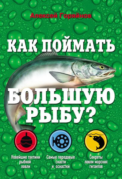 Обложка книги  «Как поймать большую рыбу?»
