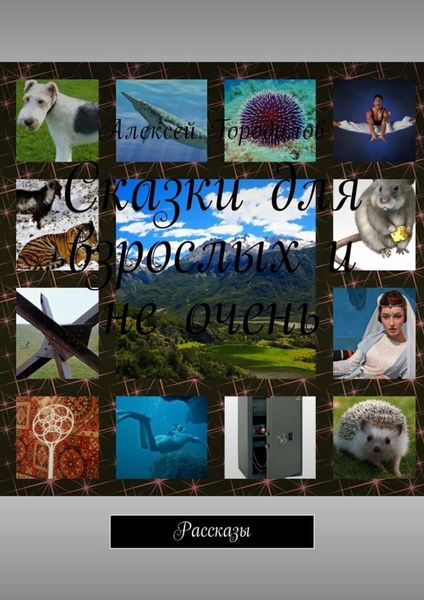 Обложка книги  «Сказки для взрослых и не очень. Рассказы»