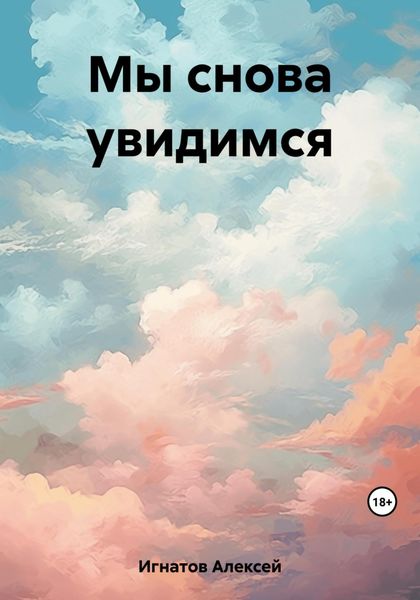 Обложка книги  «Мы снова увидимся»