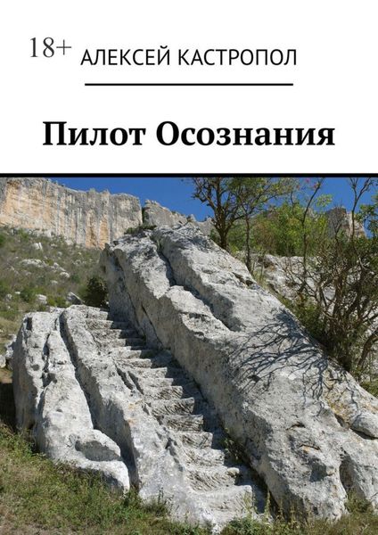 Обложка книги «Пилот Осознания»