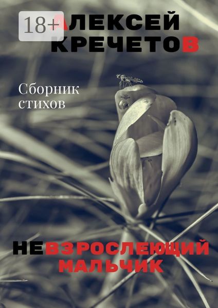 Обложка книги  «Невзрослеющий мальчик»