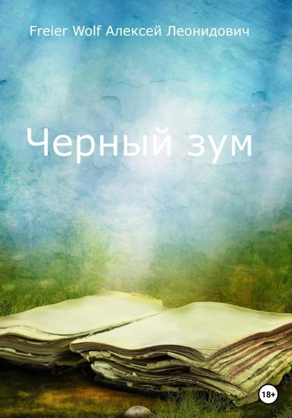 Обложка книги  «Черный зум»