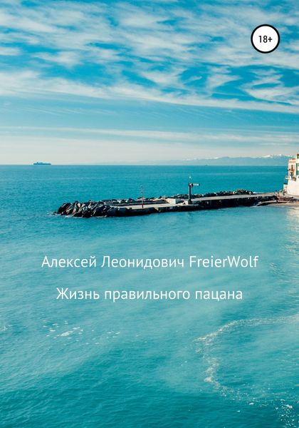 Обложка книги  «Жизнь правильного пацана»