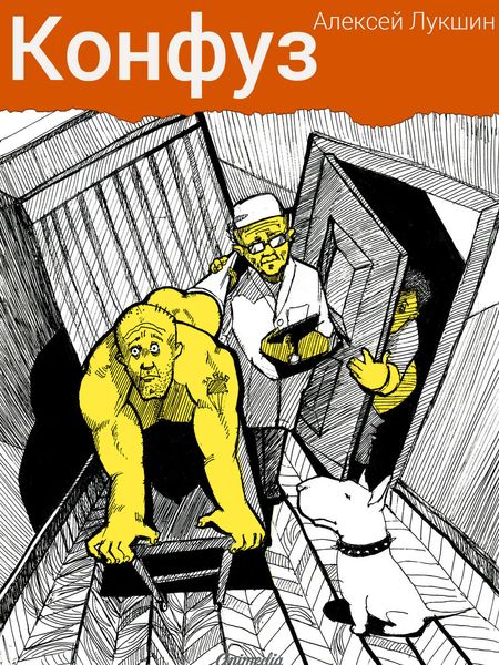 Обложка книги «Конфуз»
