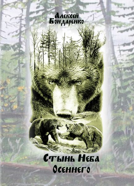 Обложка книги  «Стынь неба осеннего»