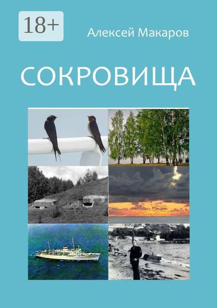 Обложка книги  «Сокровища»