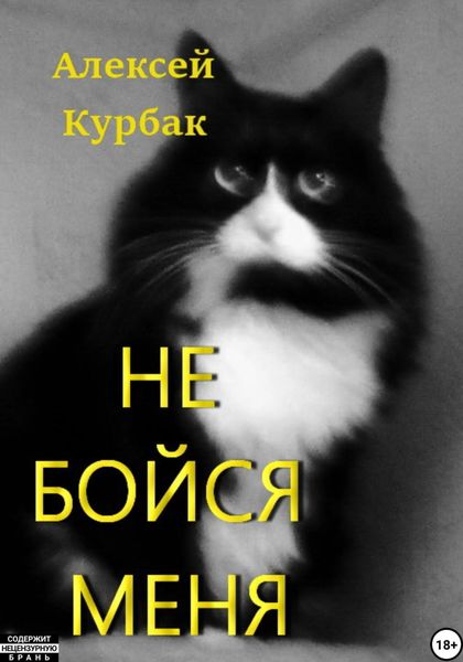 Обложка книги  «Не бойся меня»