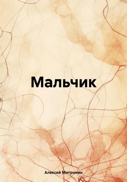 Обложка книги  «Мальчик»