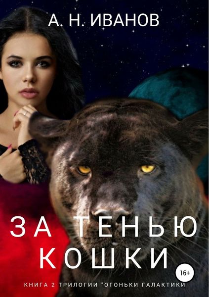 Обложка книги «За тенью кошки»